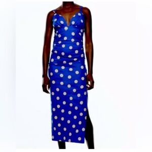 Wet pretty Zara polka dot dress